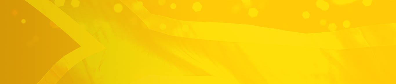 InvestSA — a programme of the Department of Trade, Industry and Competition